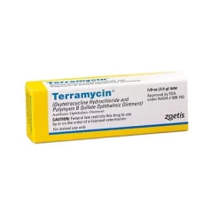 Zoetis Terramycin Antibiotic Ophthalmic Ointment For Dogs, 3.5 G