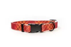 Yellow Dog Design Elements 2.0 Waterproof Dog Collar