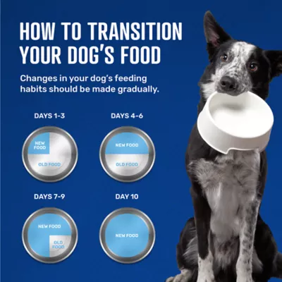 Retriever Adult Performance High Protein Beef And Chicken Recipe Dry Dog Food, 50 Lb. Bag - Image 7