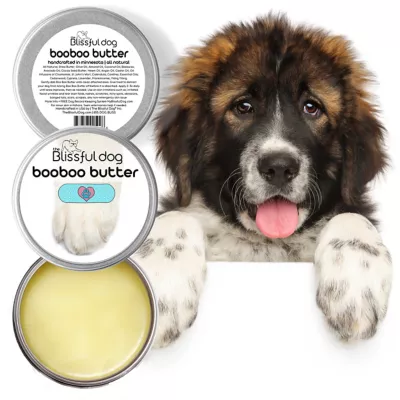 New! The Blissful Dog Boo Boo Butter For Dogs, 2.25 Oz. Tube - Image 2