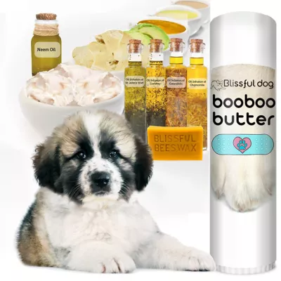 New! The Blissful Dog Boo Boo Butter For Dogs, 2.25 Oz. Tube - Image 3