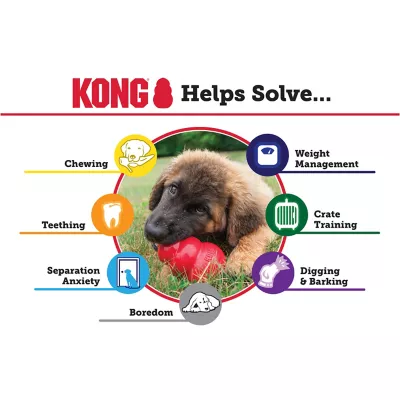 KONG Classic Dog Chew Toy, Medium - Image 3