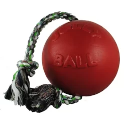 Jolly Pets Romp-n-Roll Ball Dog Toy, 6 In.