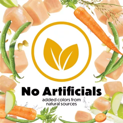 Purina Beneful Adult Healthy Weight Chicken Recipe Dry Dog Food - Image 6