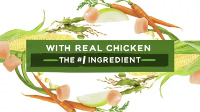 Purina Beneful Adult Healthy Weight Chicken Recipe Dry Dog Food - Image 10