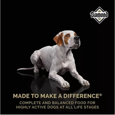 Diamond Performance Formula Dry Dog Food - Image 4