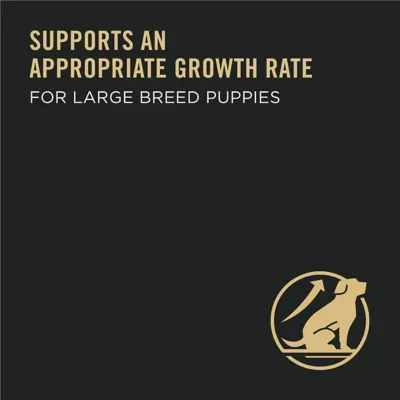 Purina Pro Plan Puppy Large Breed Chicken And Rice Formula Dry Dog Food - Image 3