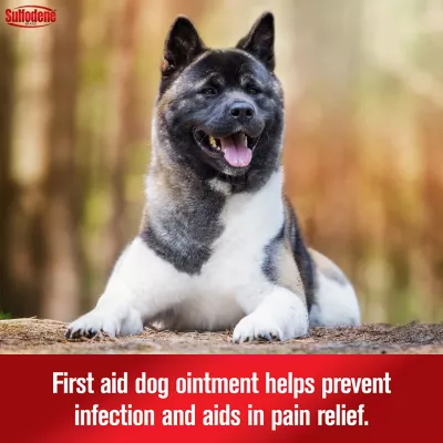 Sulfodene 3-Way Wound Treatment Ointment For Dogs, 2 Oz. - Image 3