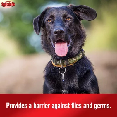 Sulfodene 3-Way Wound Treatment Ointment For Dogs, 2 Oz. - Image 5